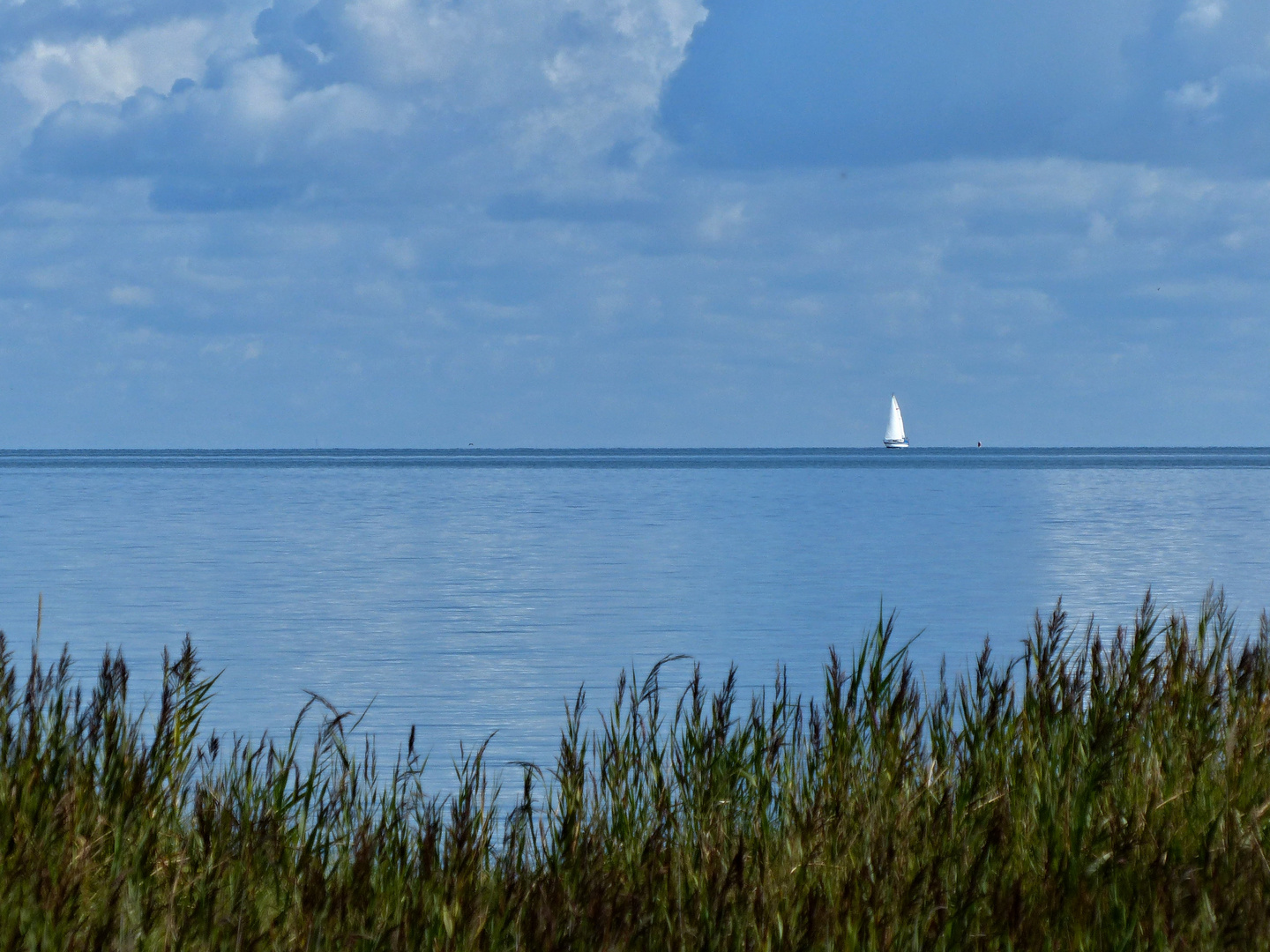 ein Schiff wird kommen