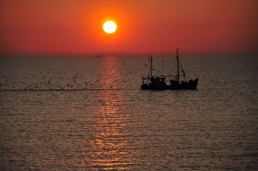 Ein Schiff wird kommen