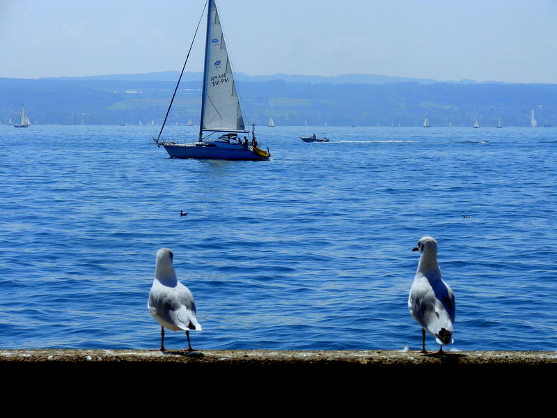 ein Schiff wird kommen