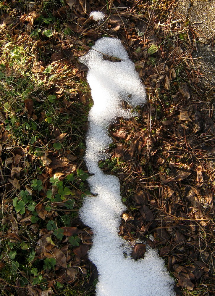 Ein Schläfchen....