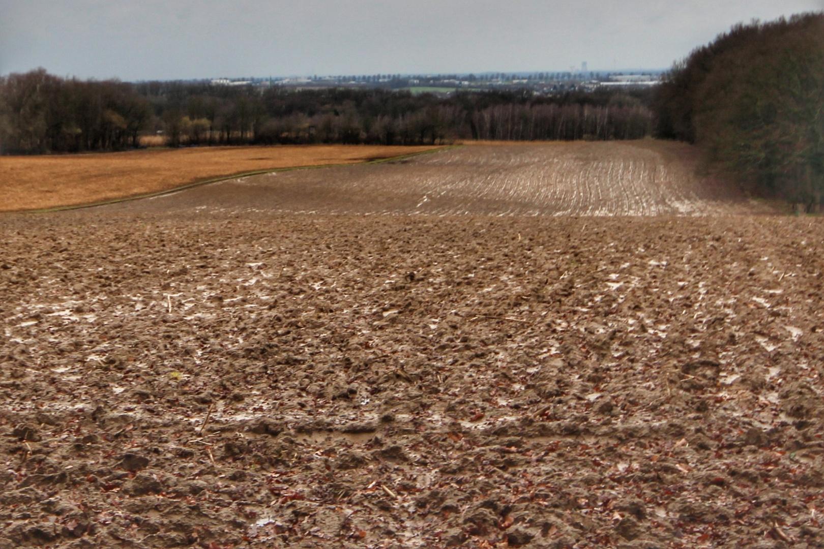 Ein Schlechtwetterbild...