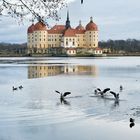 Ein Schloß für Aschenbrödel