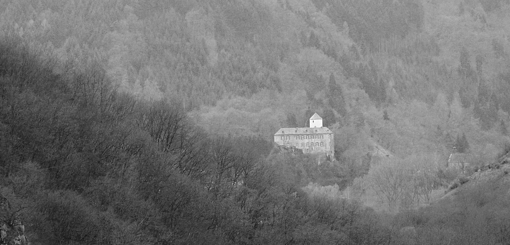 Ein Schloss im Wald