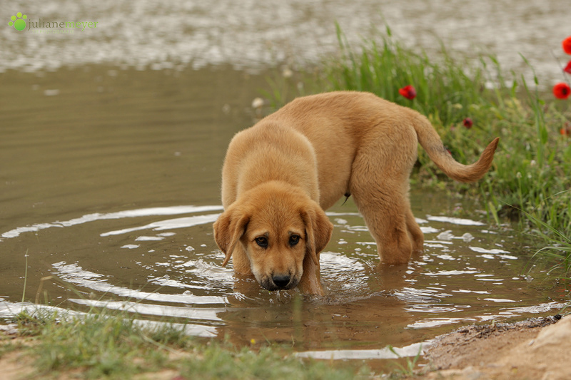 Ein schluck Wasser