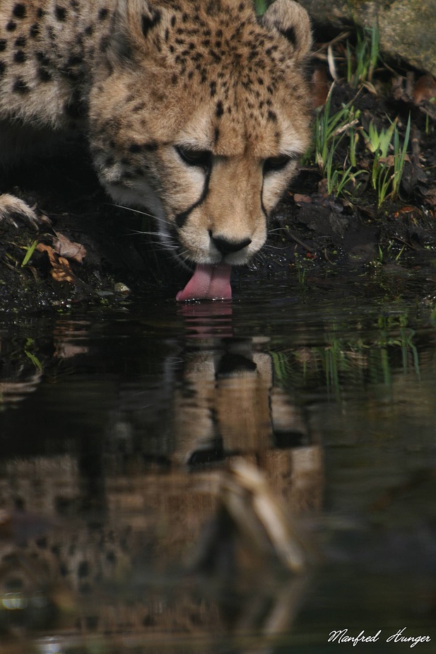 Ein Schluck Wasser - was für ein Labsal ;-)