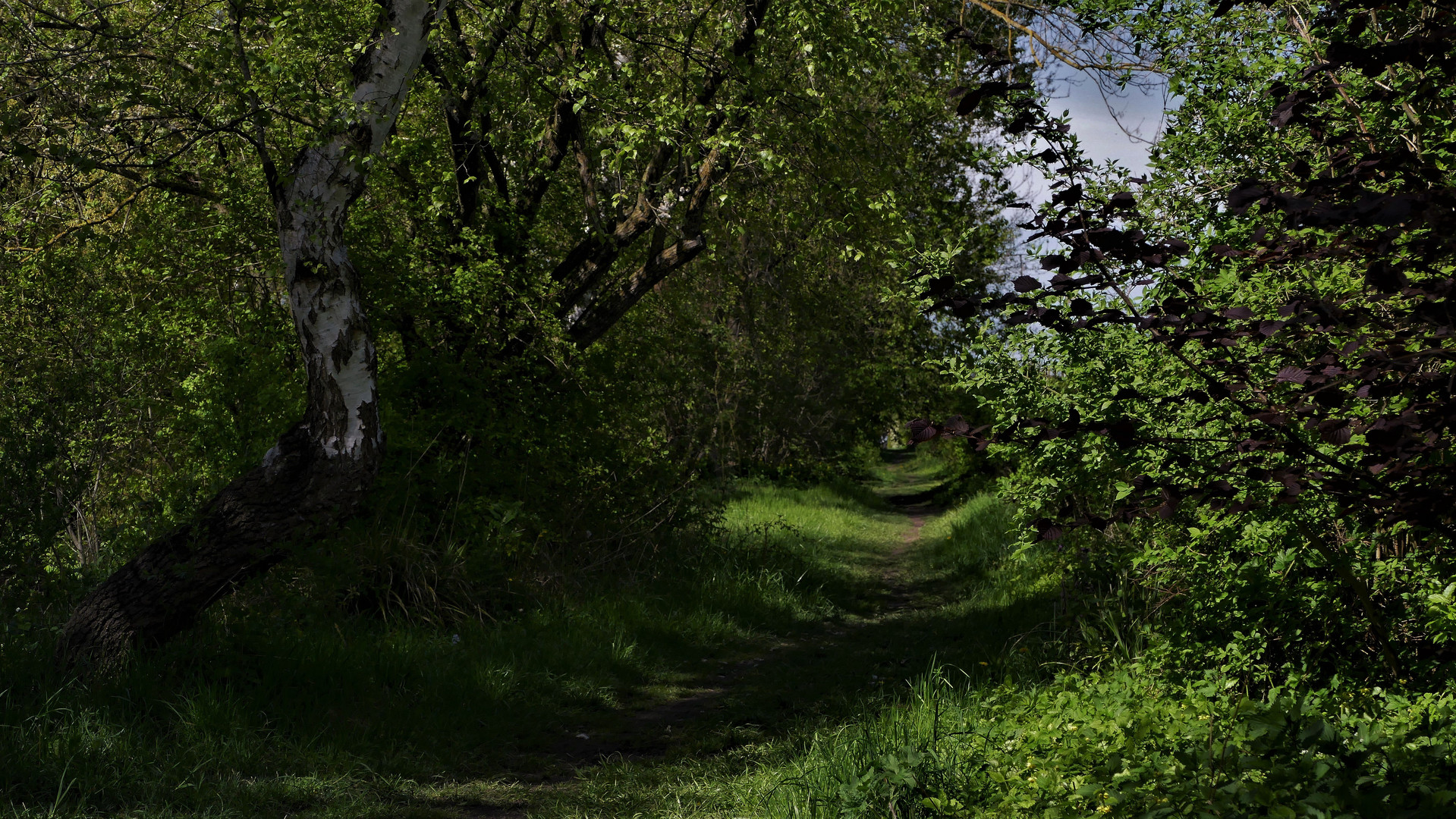 Ein schmaler Fußweg...