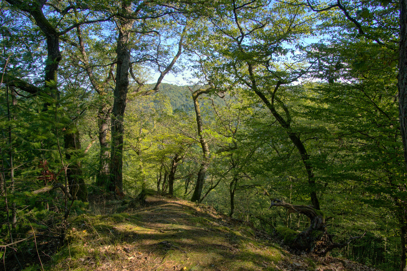 Ein schmaler Pfad führt ins Tal