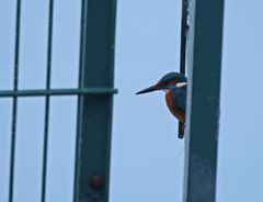 Ein schmaler Spalt ...