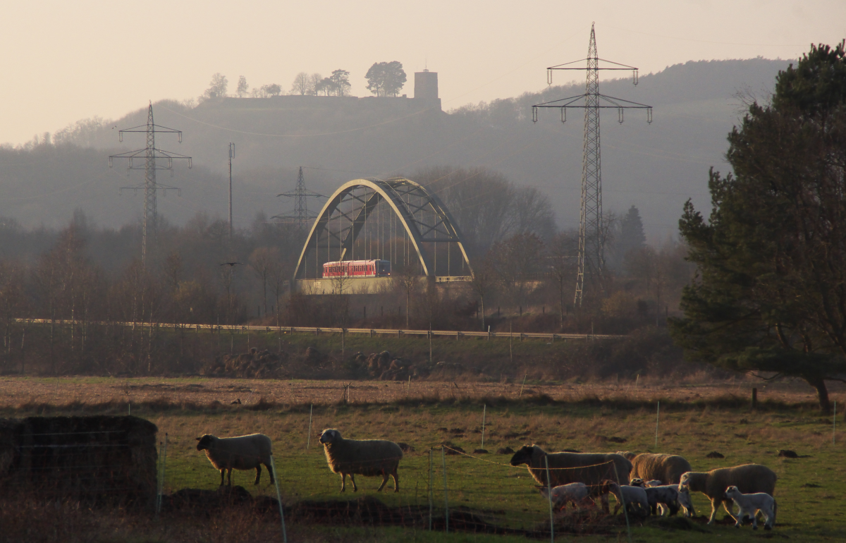 Ein "Schnappschuß" auf dem Heimweg.