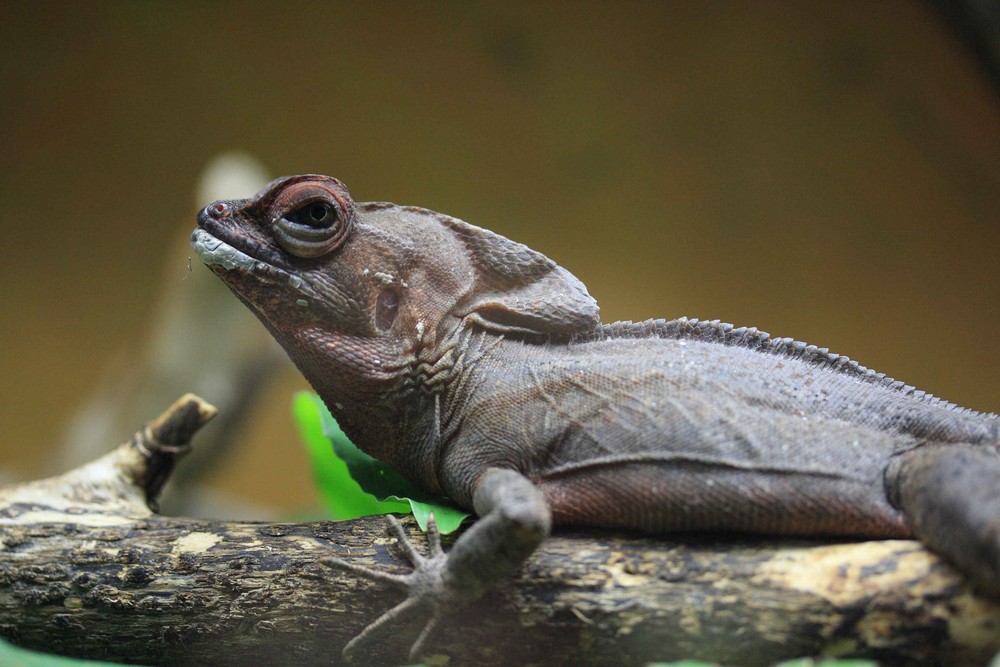 Ein Schnappschuss im ZOO