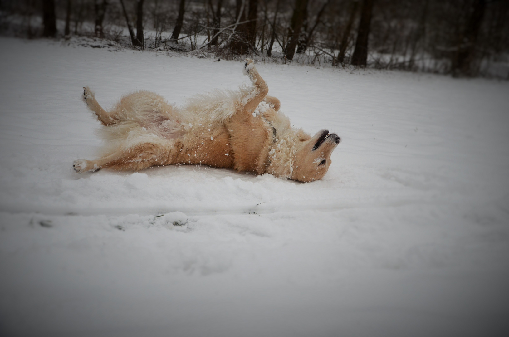 Ein Schneebad ist so schön...