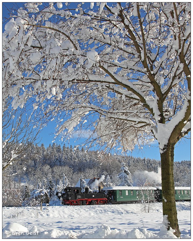 Ein schneebedeckter Baum