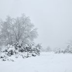 Ein Schneegruß zum 3. Advent