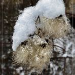 ein Schneehäubchen ...