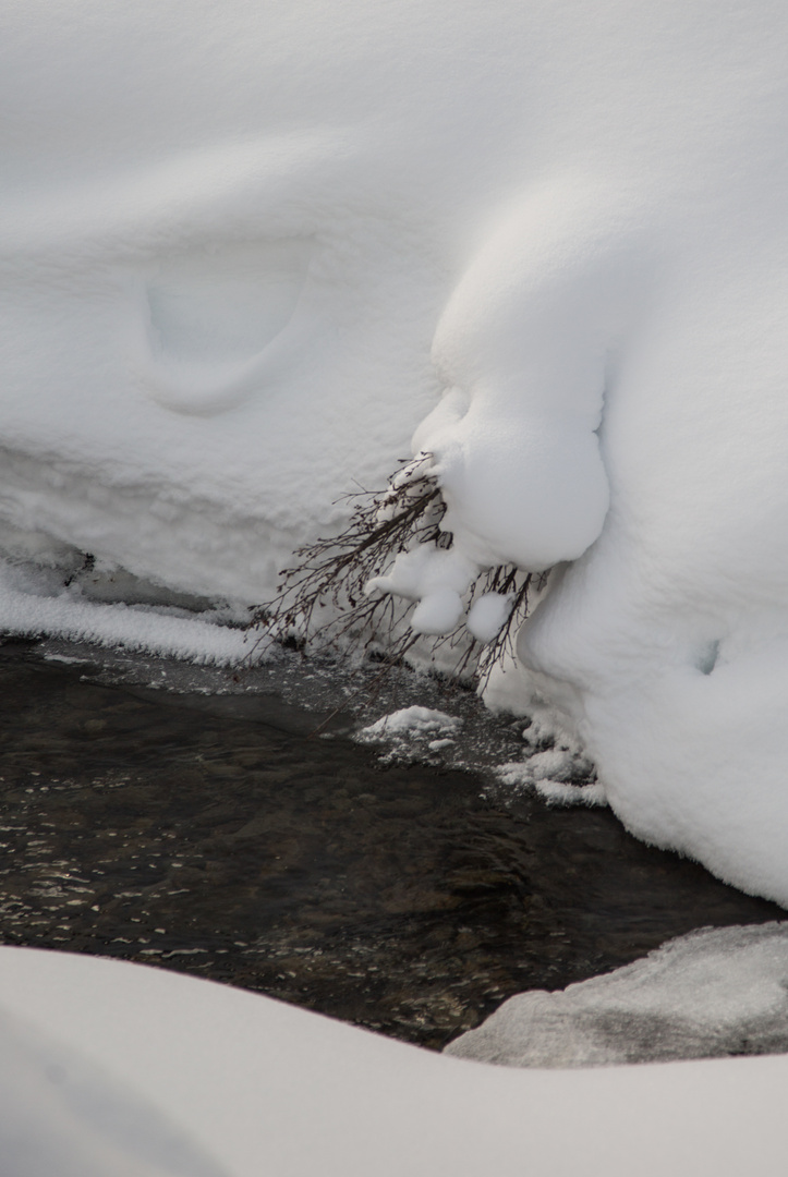 Ein Schneemann ??