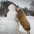 Ein Schneemann für Liesel