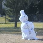 EIN SCHNEEMANN GENIESST DIE SONNE