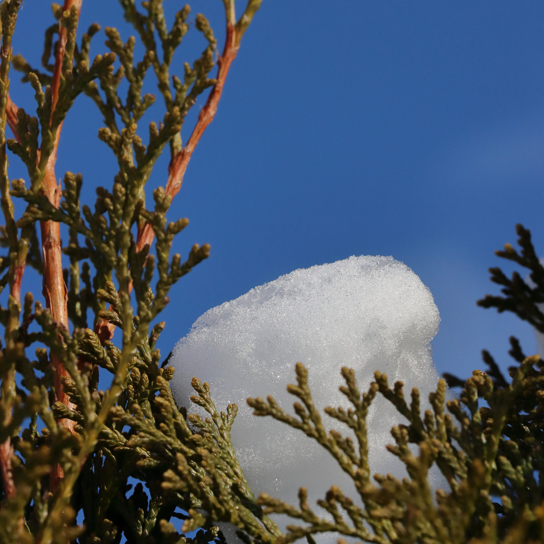 Ein Schneewölkchen :-)