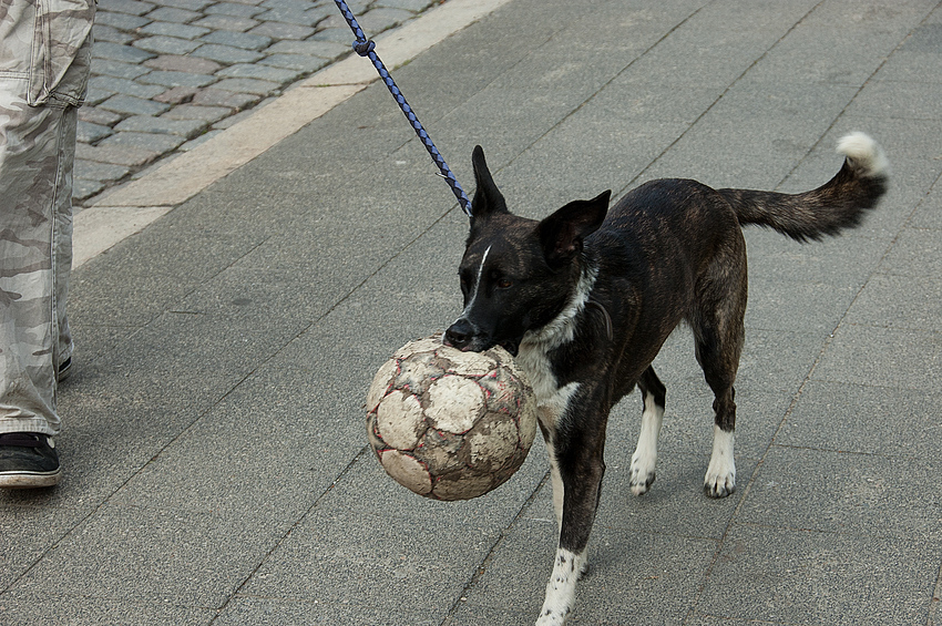 ein schneller augenblick