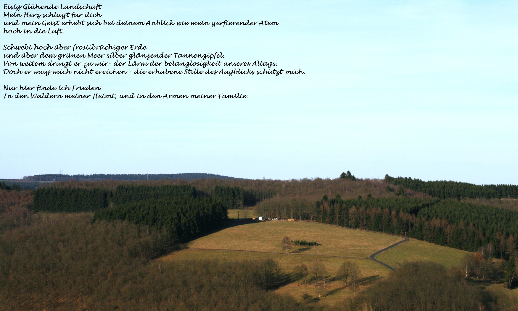 Ein schnelles Gedicht am Morgen...