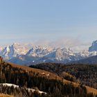 Ein Schönblick im Nahbereich