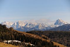 Ein Schönblick im Nahbereich