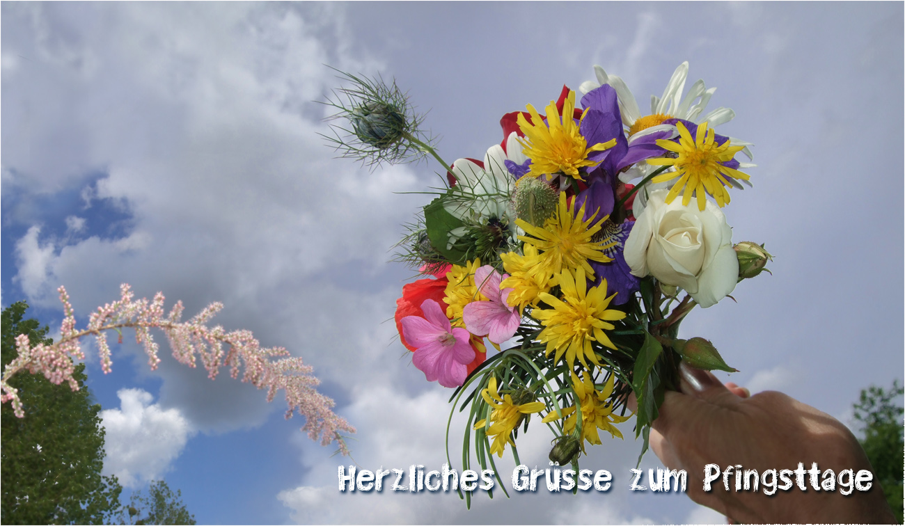 Ein schöne Pfingstensttage Foto & Bild | jahreszeiten, frühling, fotos