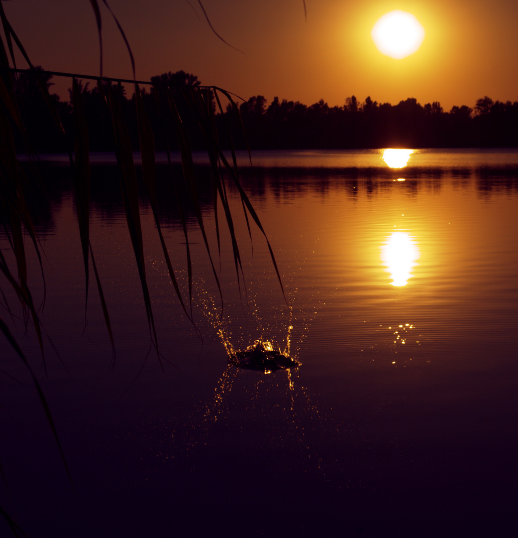 Ein schöner Abend am See