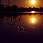 Ein schöner Abend am See