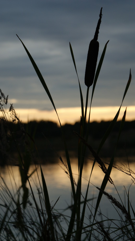 Ein schöner Abend am See