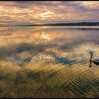 Ein schöner Abend am Starnbergersee