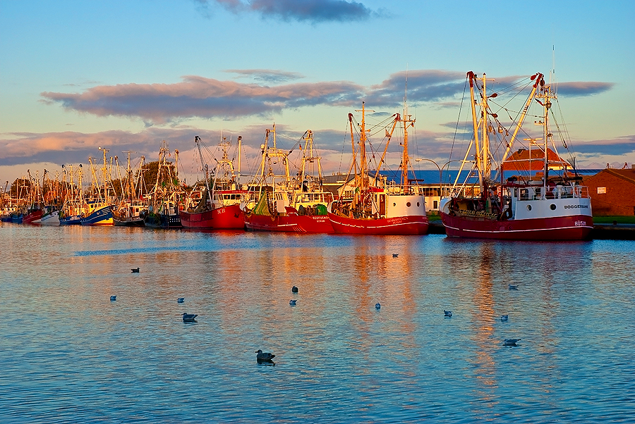 Ein schöner Abend im Hafen