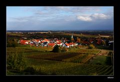 ein schöner Ausblick von den Weinbergen oberhalb vom Deutschen Weintor...
