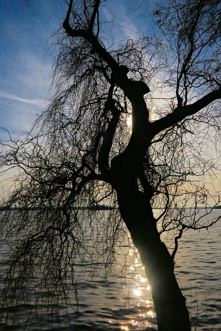 Ein schöner Blick auf den Großen Plöner See am 29. Januar 2024