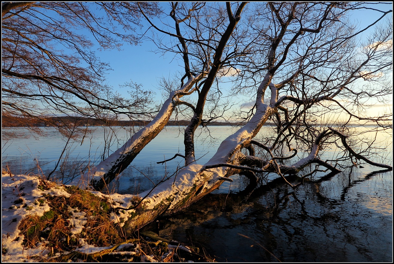 ein schöner Blick auf den Großen Plöner See im Januar 2016