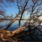 ein schöner Blick auf den Großen Plöner See im Januar 2016