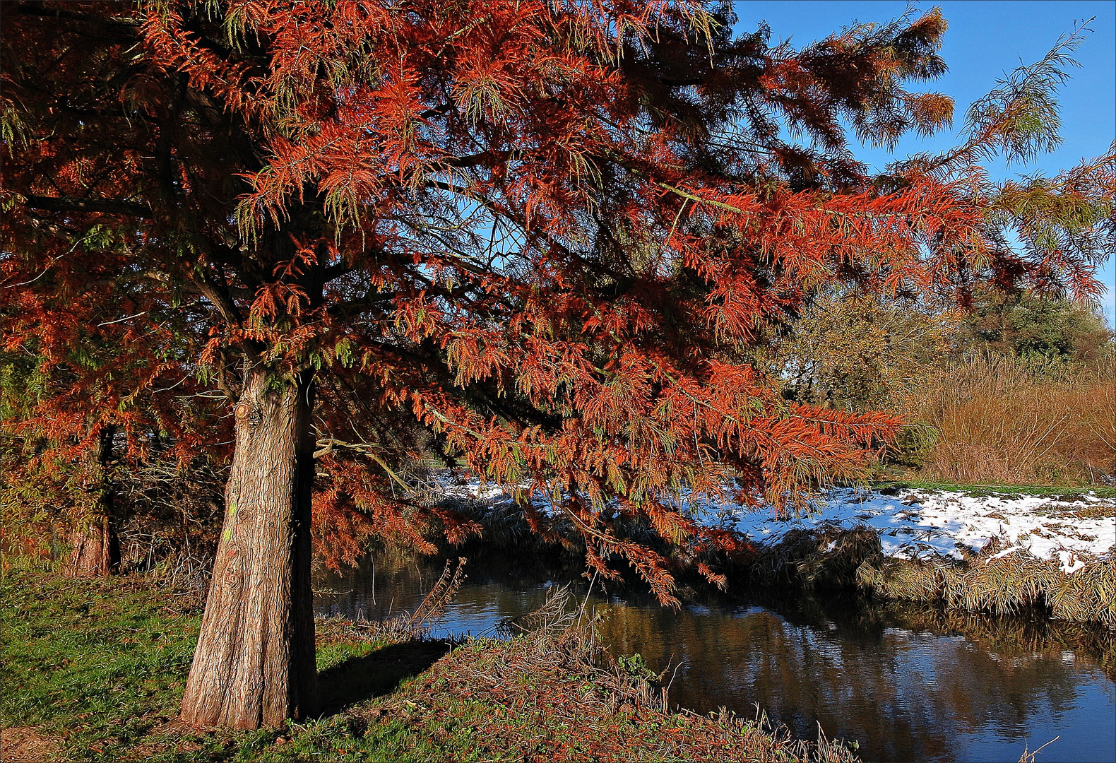 Ein schöner Blick in die Natur im November 2016