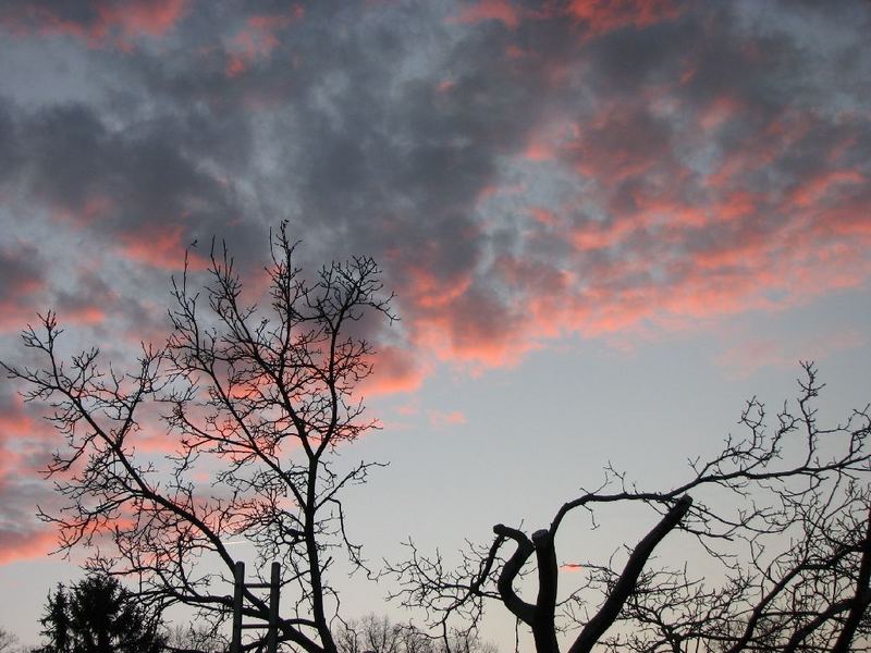 ein schöner Blick in die Wolken