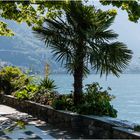 Ein schöner Blick ... Uferpromenade Montreux