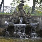 Ein schöner Brunnen in Dresden 