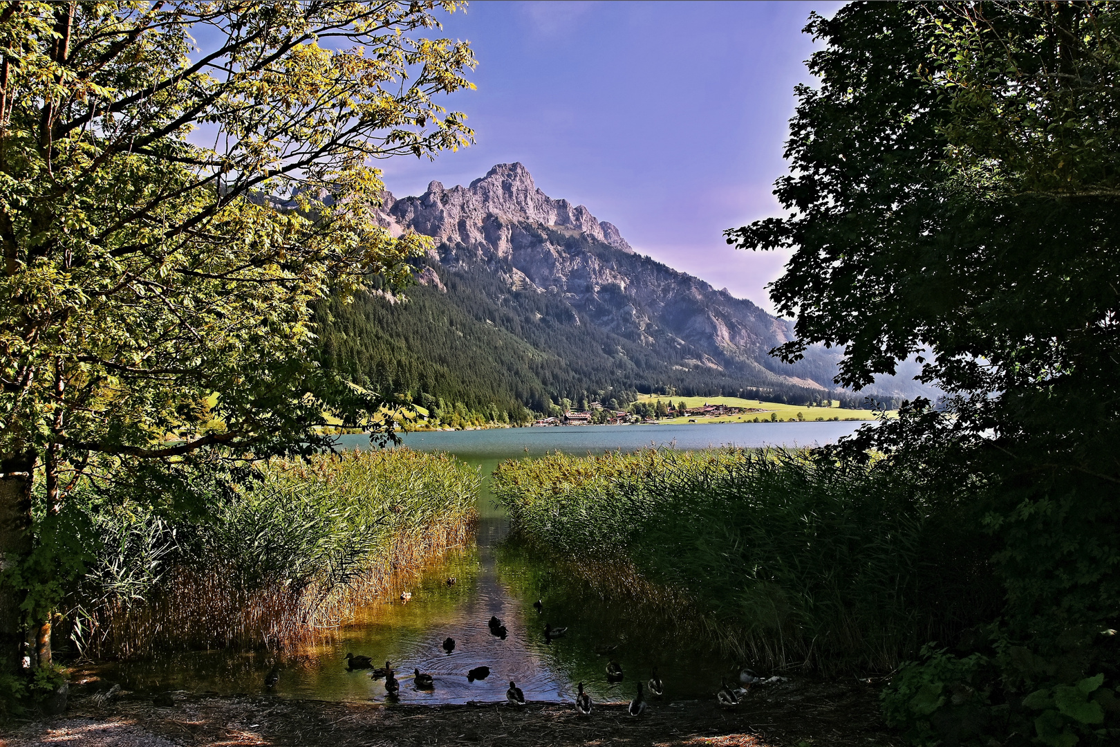 Ein schöner Durchblick