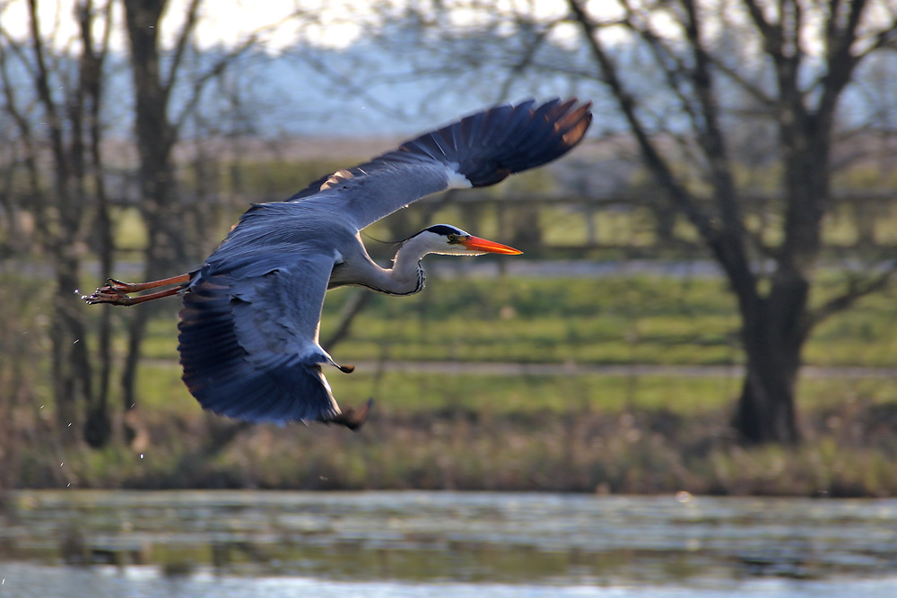 ein schöner Flug