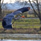 ein schöner Flug