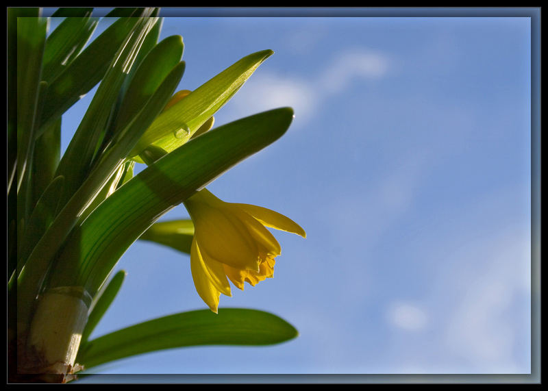 Ein schöner Frühling...