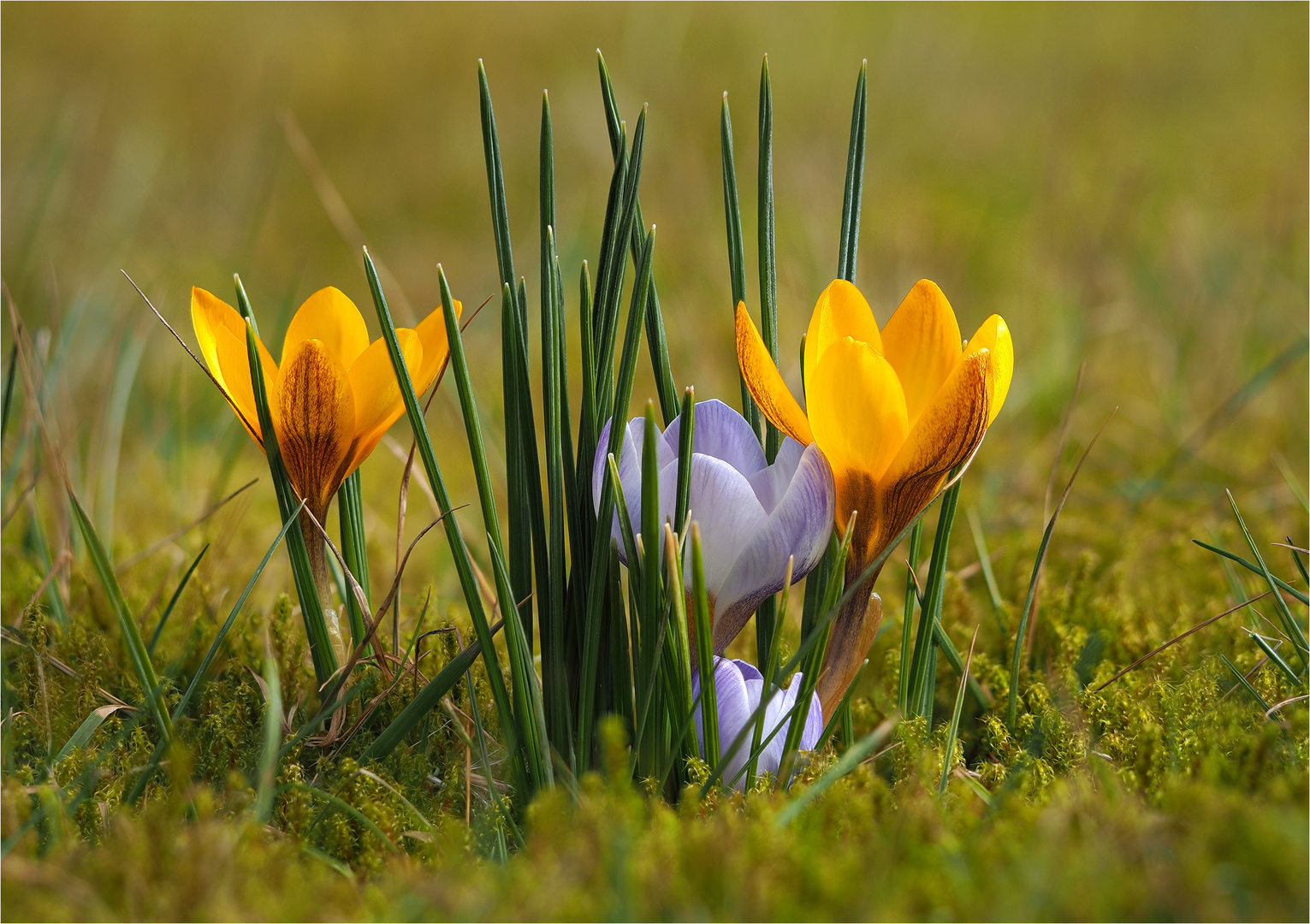 Ein schöner Frühlingstag....