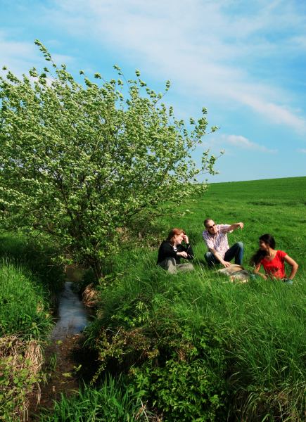 Ein schöner Frühlingstag