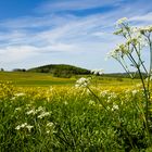 Ein schöner Frühlingstag in der Schwäbischen Alb