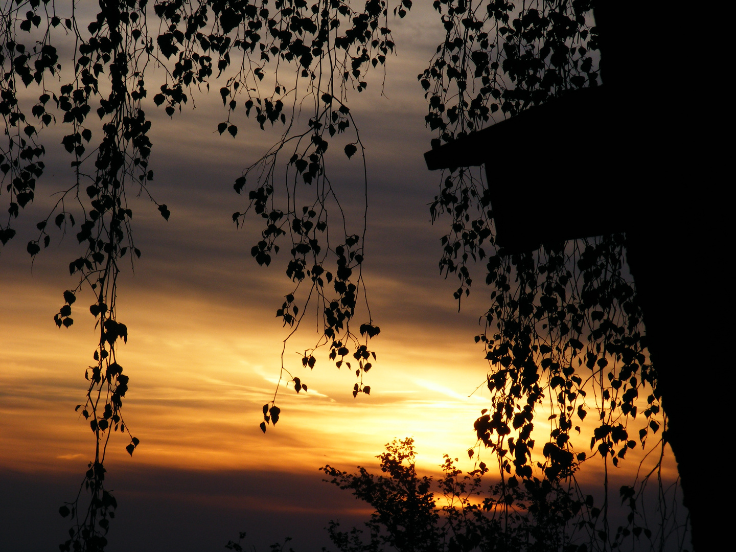 Ein schöner Frühlingsuntergang