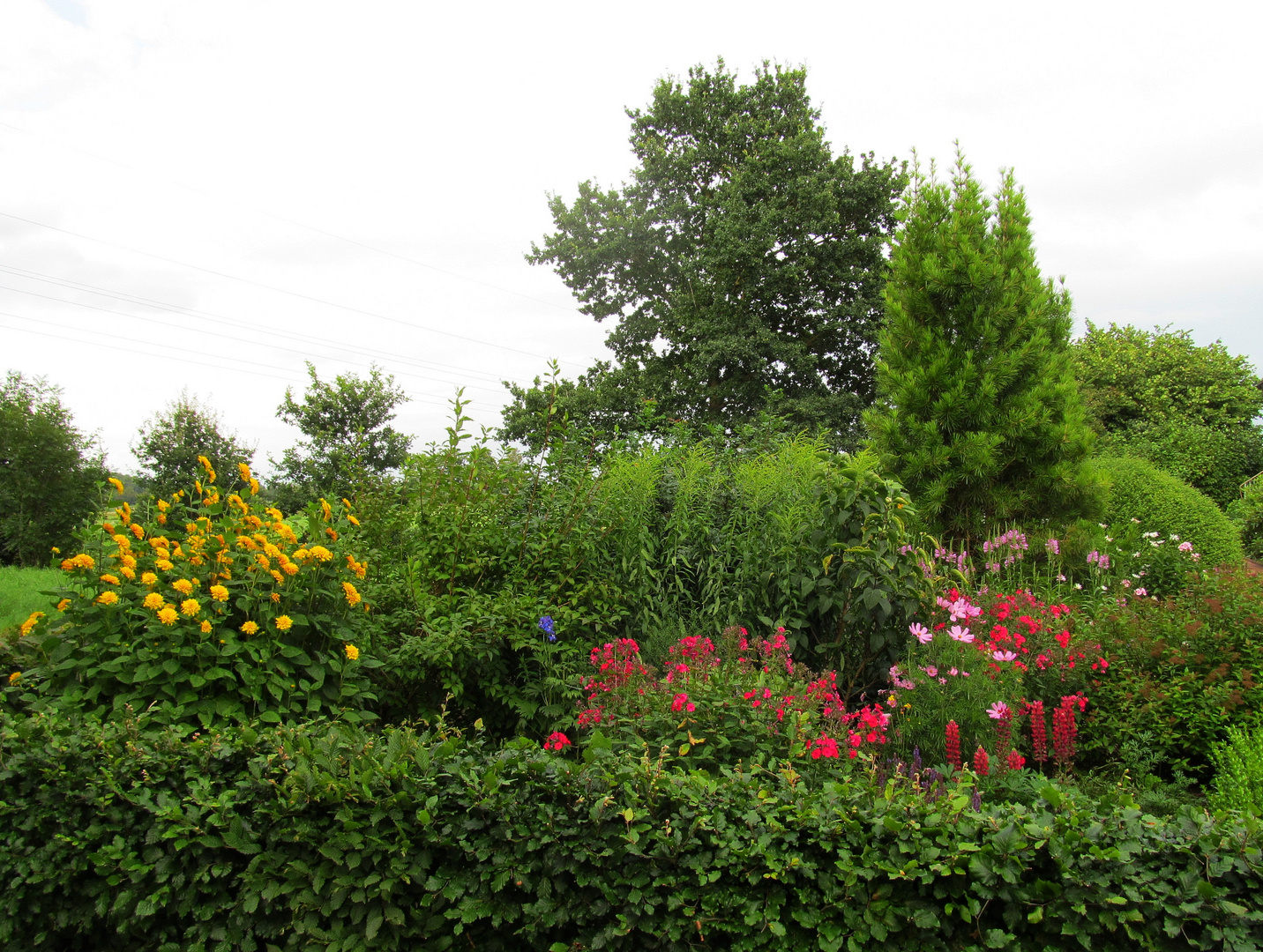 ein schöner Garten ... 