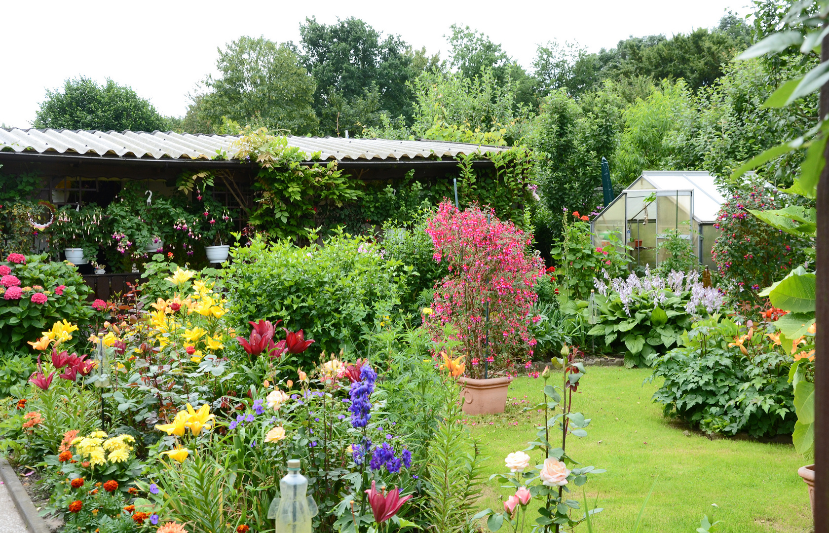Ein schöner Garten , Foto & Bild natur Bilder auf